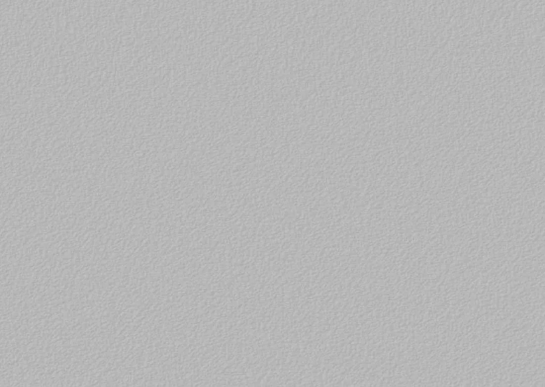 SPLAC 12 1830 X 2750 TXT
