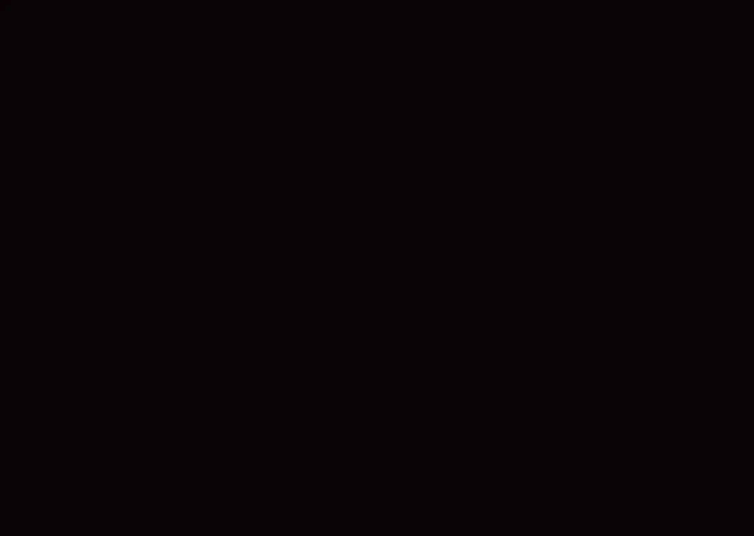 SPLAC 12 1830 X 2750 TXT