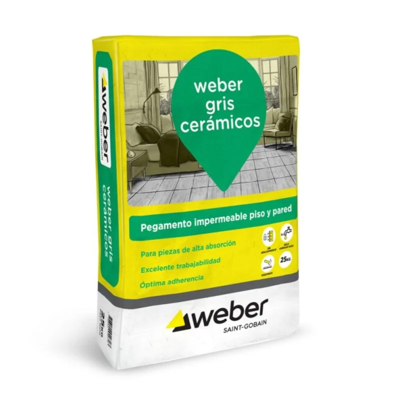 WEBER FORTE GRIS