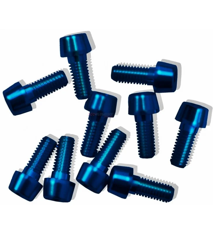 TORNILLO M5 X 45 FRES PH AZUL